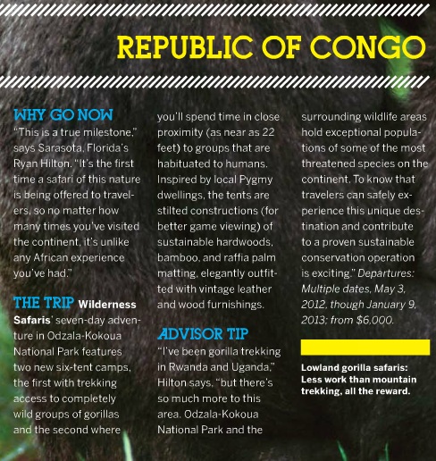 congo, vacation, africa, travel, central africa, gorillas